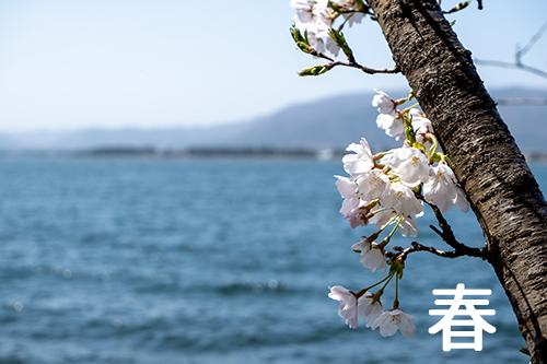 ＪＲ琵琶湖線（東海道本線）春のイベント